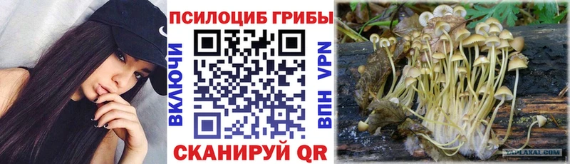 blacksprut сайт  где купить наркоту  Онега  Галлюциногенные грибы мухоморы 